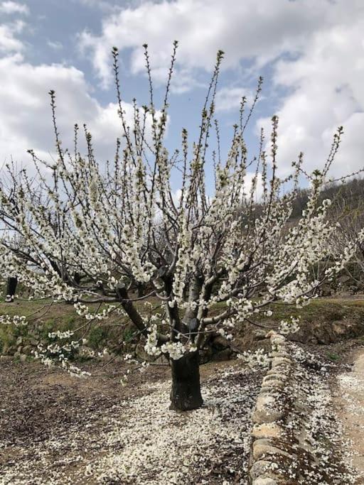 La Duquesa Del Valle Cabezuela Del Valle Bagian luar foto